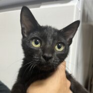 人が大好き甘えん坊な女の子♡