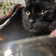 幸運の持ち主エナ！！甘えん坊の男の子❤️