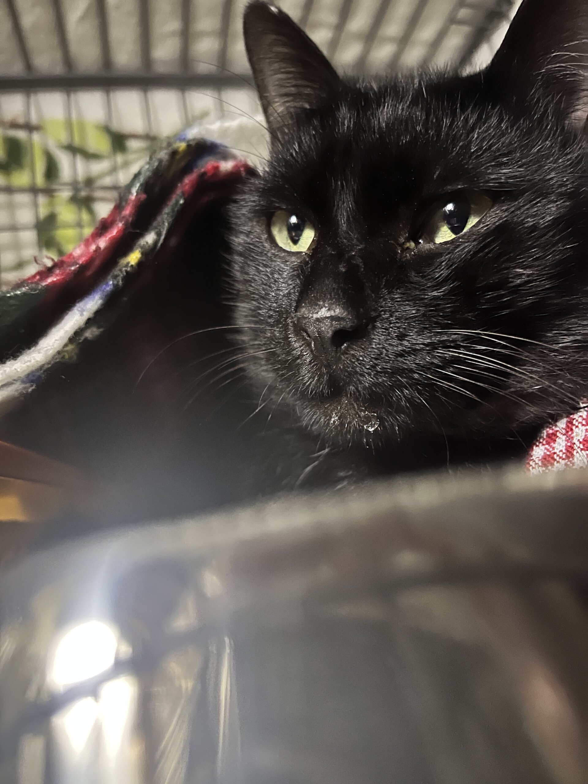 幸運の持ち主エナ！！甘えん坊の男の子❤️