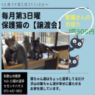 保護猫の譲渡会＆愛猫さんの爪切り