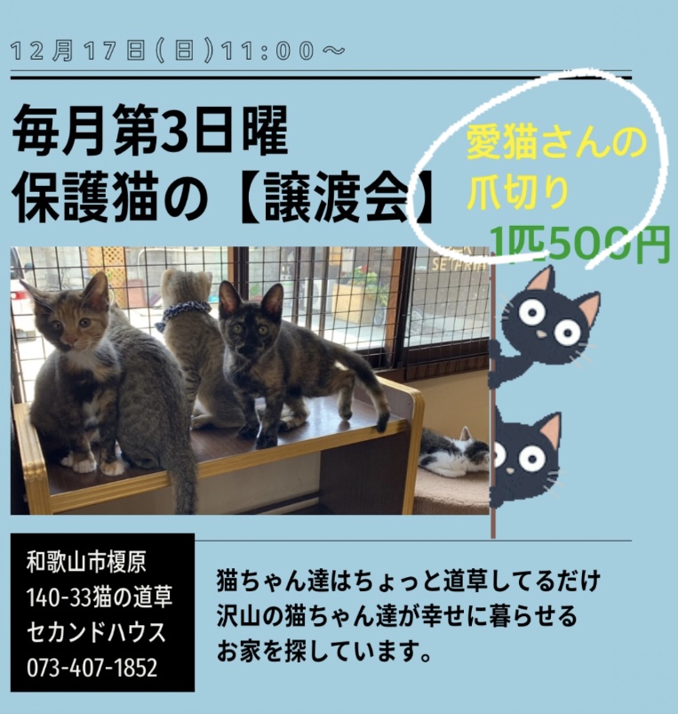 保護猫の譲渡会＆愛猫さんの爪切り