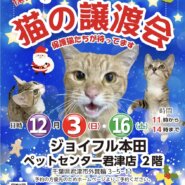 【千葉県 君津市】猫の譲渡会