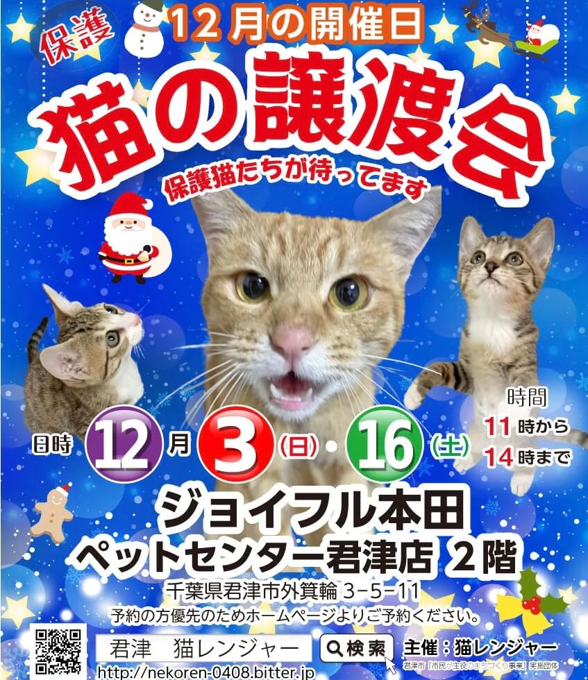 【千葉県 君津市】猫の譲渡会