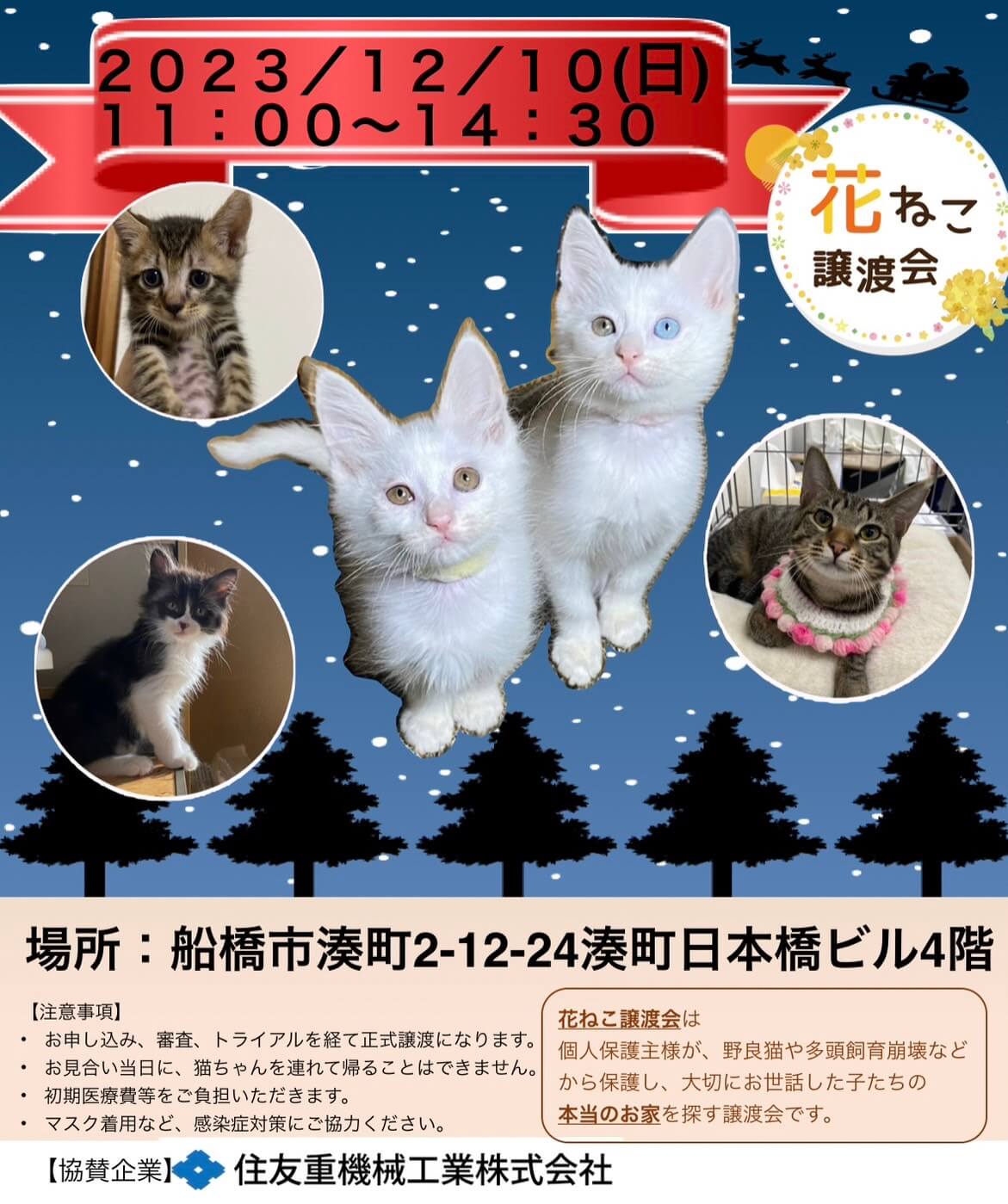 花ねこ譲渡会