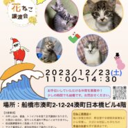 花ねこ譲渡会