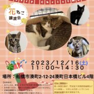 花ねこ譲渡会
