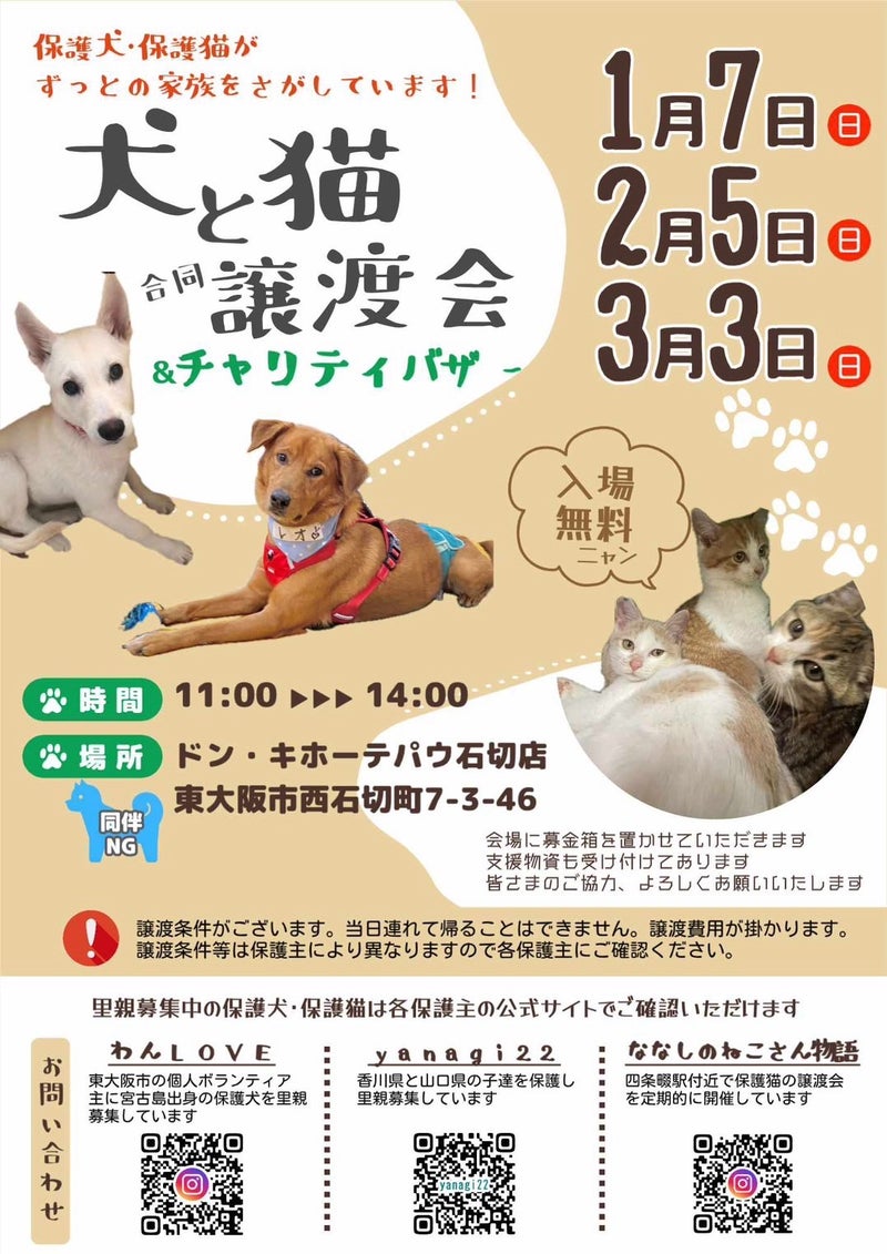 犬と猫の譲渡会