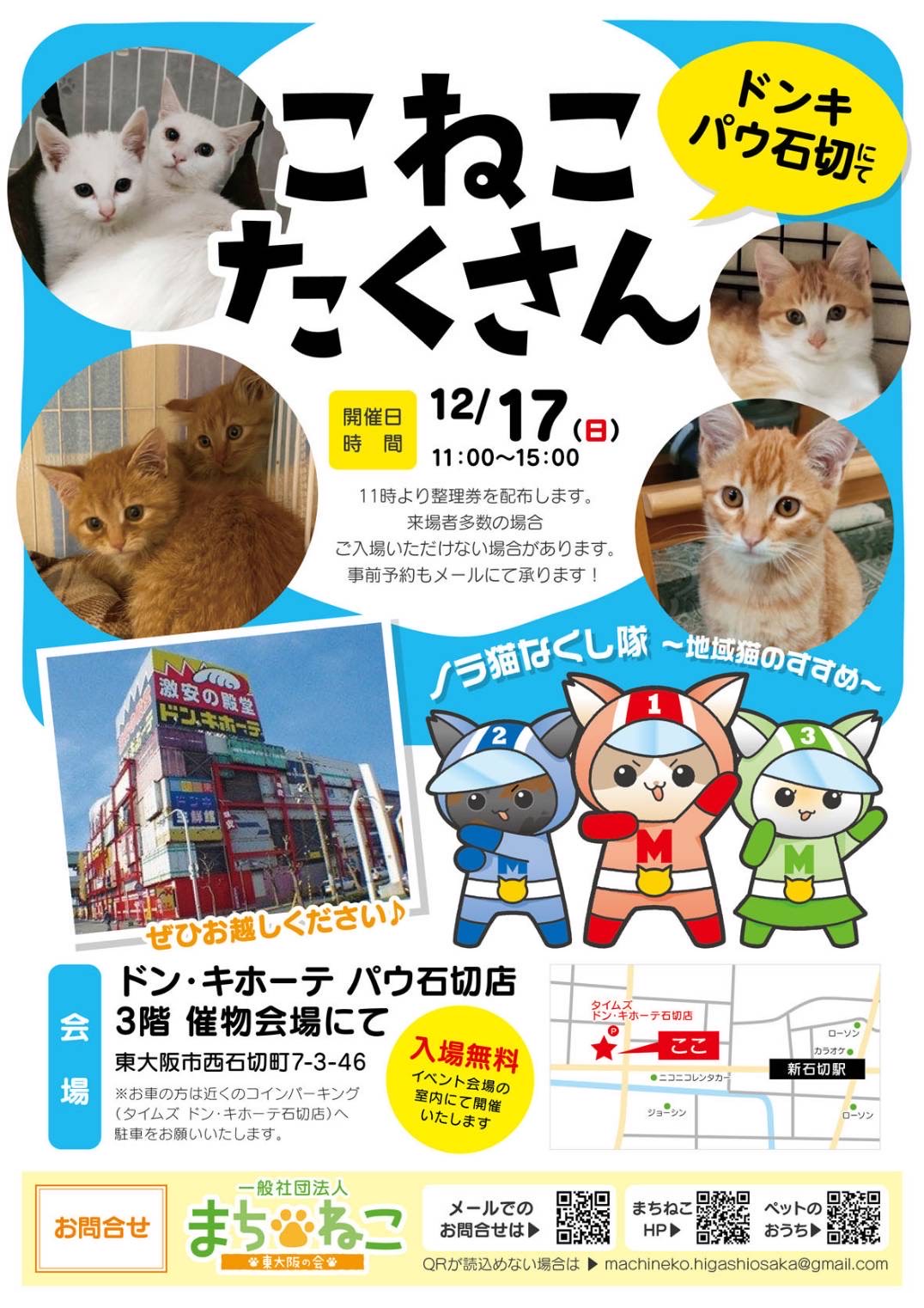 猫の譲渡会