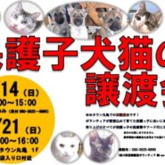 保護子犬猫の譲渡会