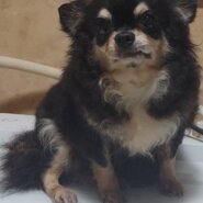 里親様決まりました。