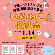 犬と猫の譲渡会