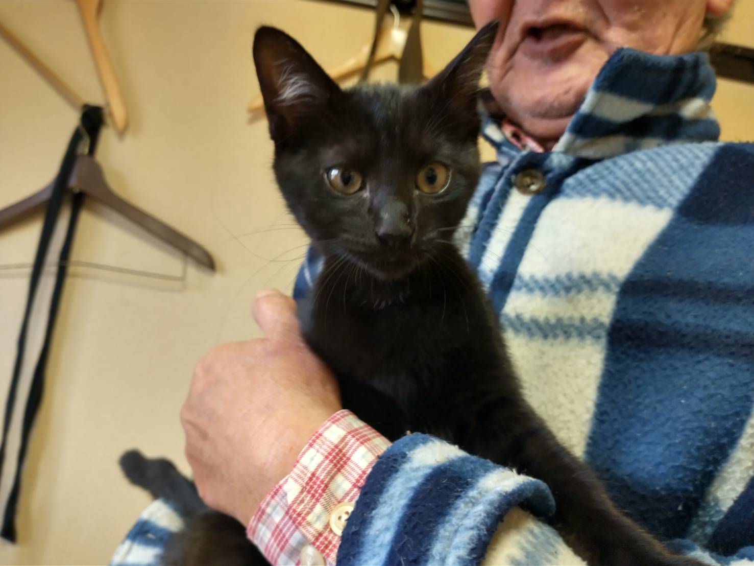 生後3か月：黒猫（男の子）