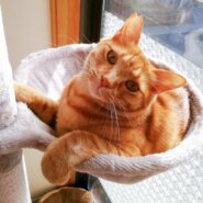 天真爛漫なあまえんぼのウィンくんです