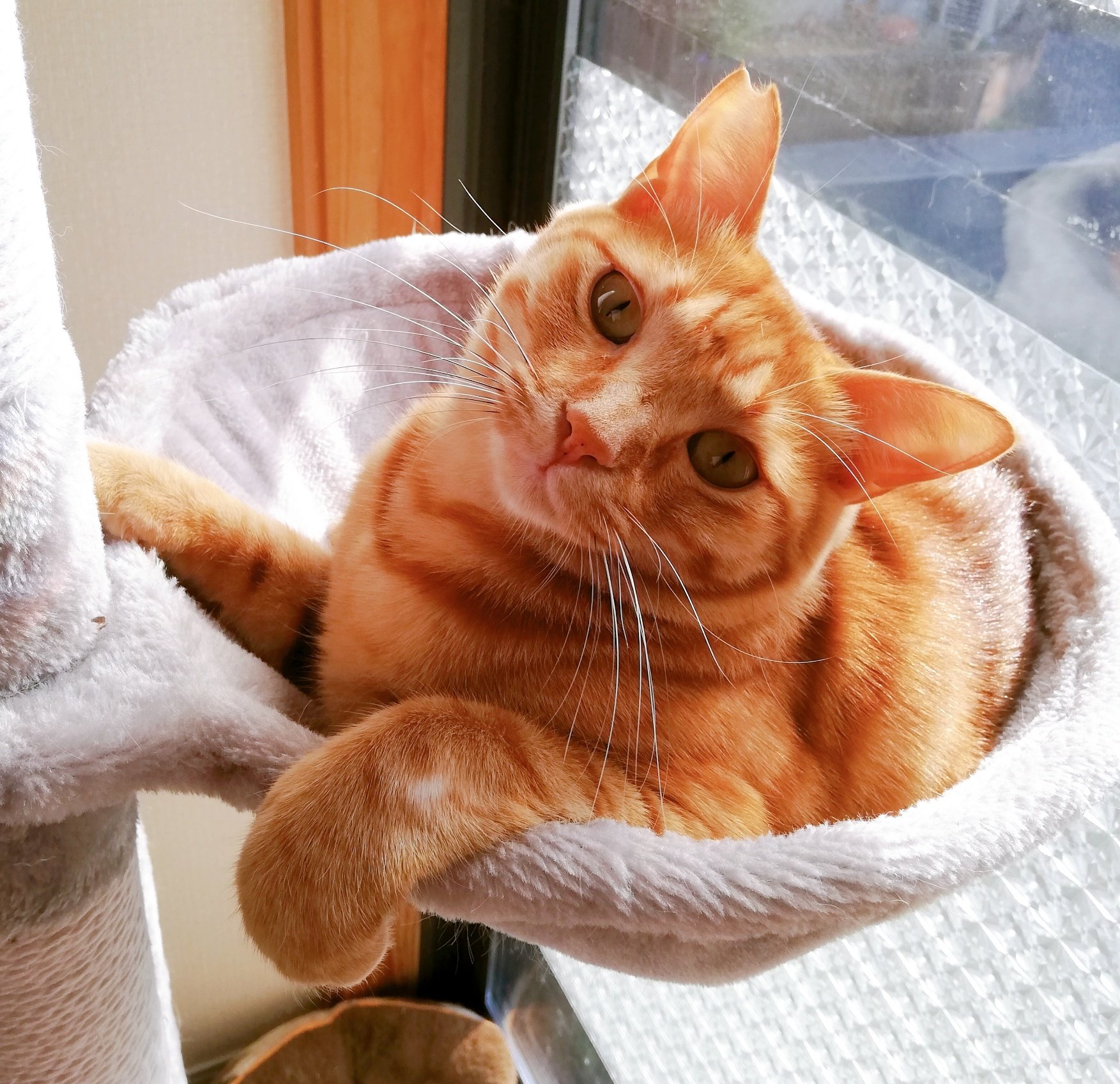 天真爛漫なあまえんぼのウィンくんです