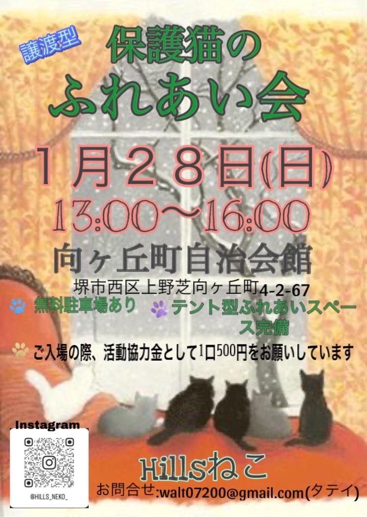 譲渡型　保護猫のふれ合い会