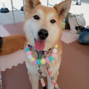 10歳くらいの男の子