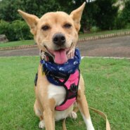 7歳くらいの甘えん坊の女の子