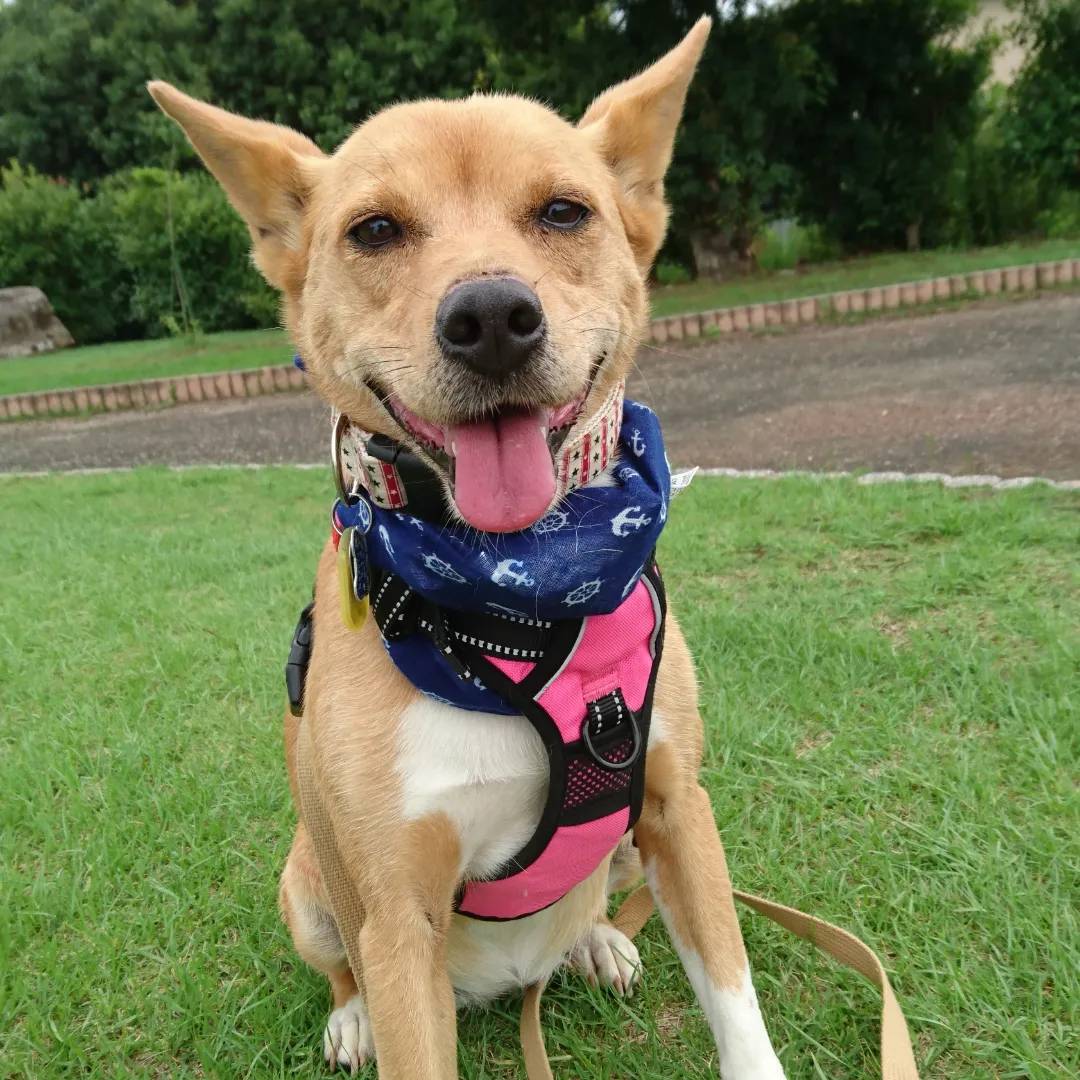 7歳くらいの甘えん坊の女の子