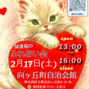 譲渡型　保護猫のふれ合い会