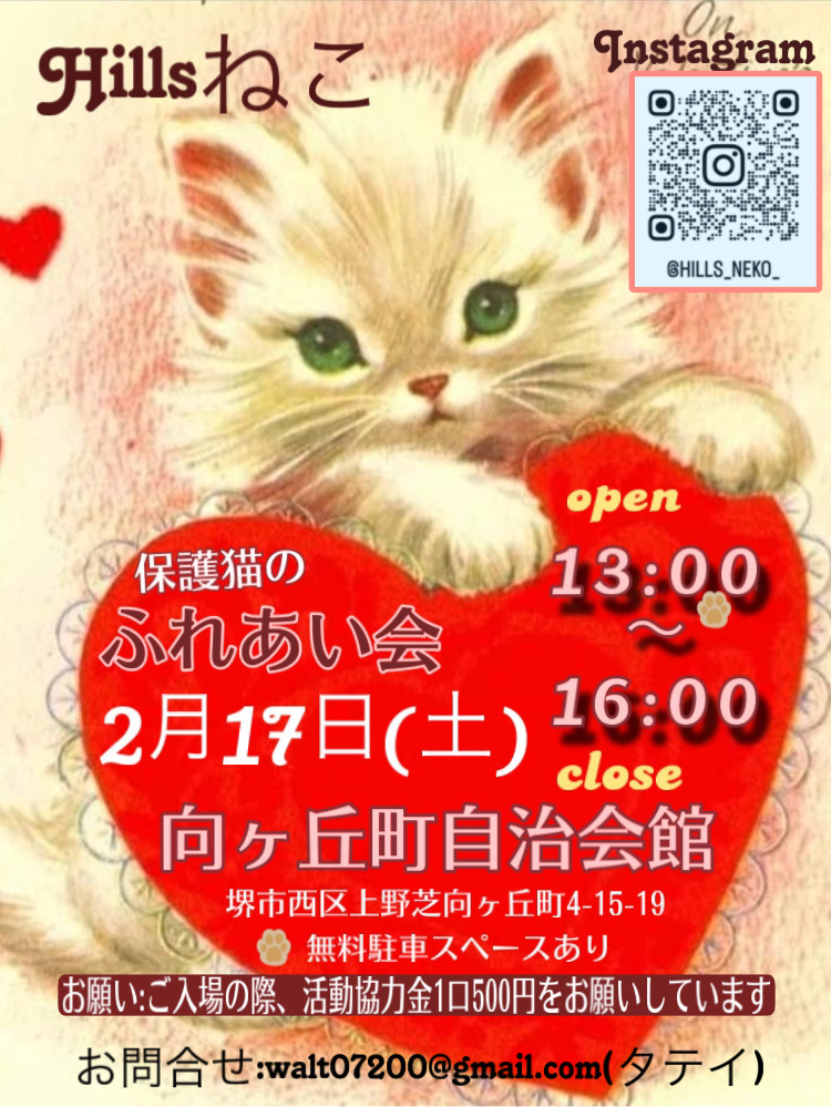 譲渡型　保護猫のふれ合い会