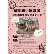 保護猫譲渡会@川越ハウジングステージ