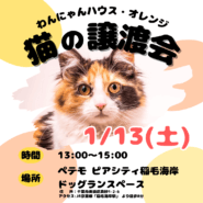 わんにゃんハウス・オレンジ★猫の譲渡会