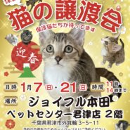 【千葉県君津市】ねこのじょうとかい