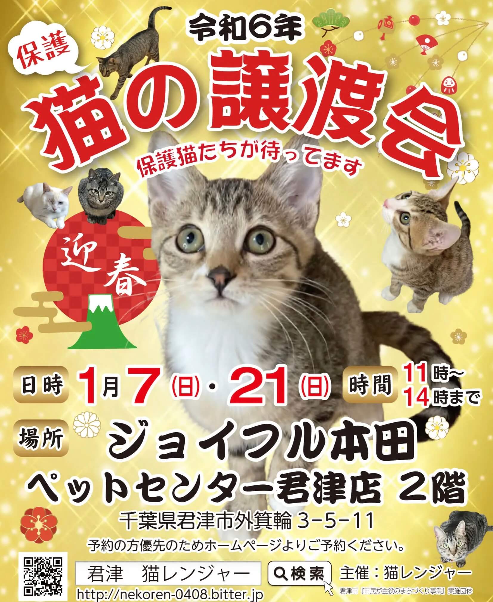 【千葉県君津市】ねこのじょうとかい