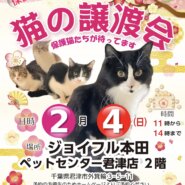 【千葉県君津市】猫の譲渡会