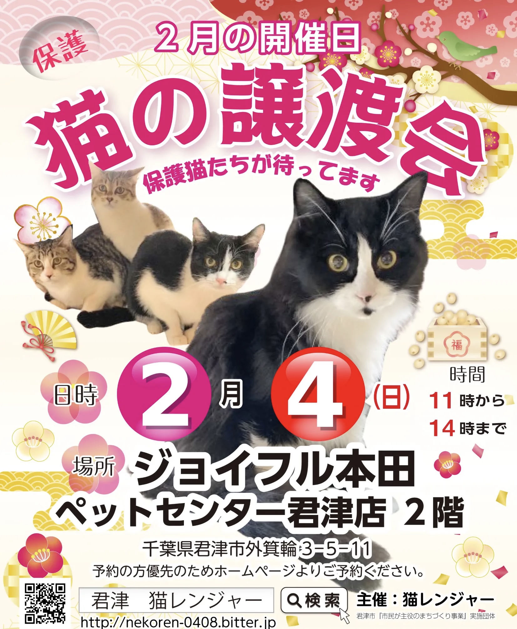 【千葉県君津市】猫の譲渡会