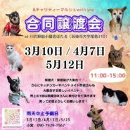 合同譲渡会＆チャリティーマルシェ〜with you〜