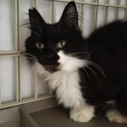 人馴れバツグン