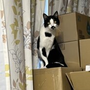 1歳8ヶ月の甘えん坊