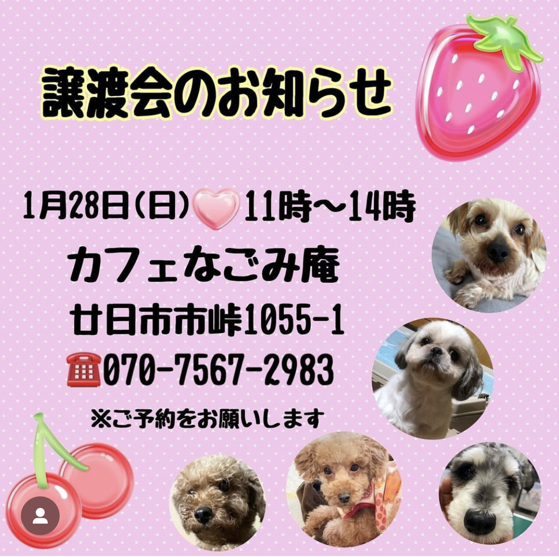 新年最初の譲渡会