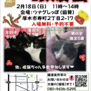 ツムグ小さな譲渡会