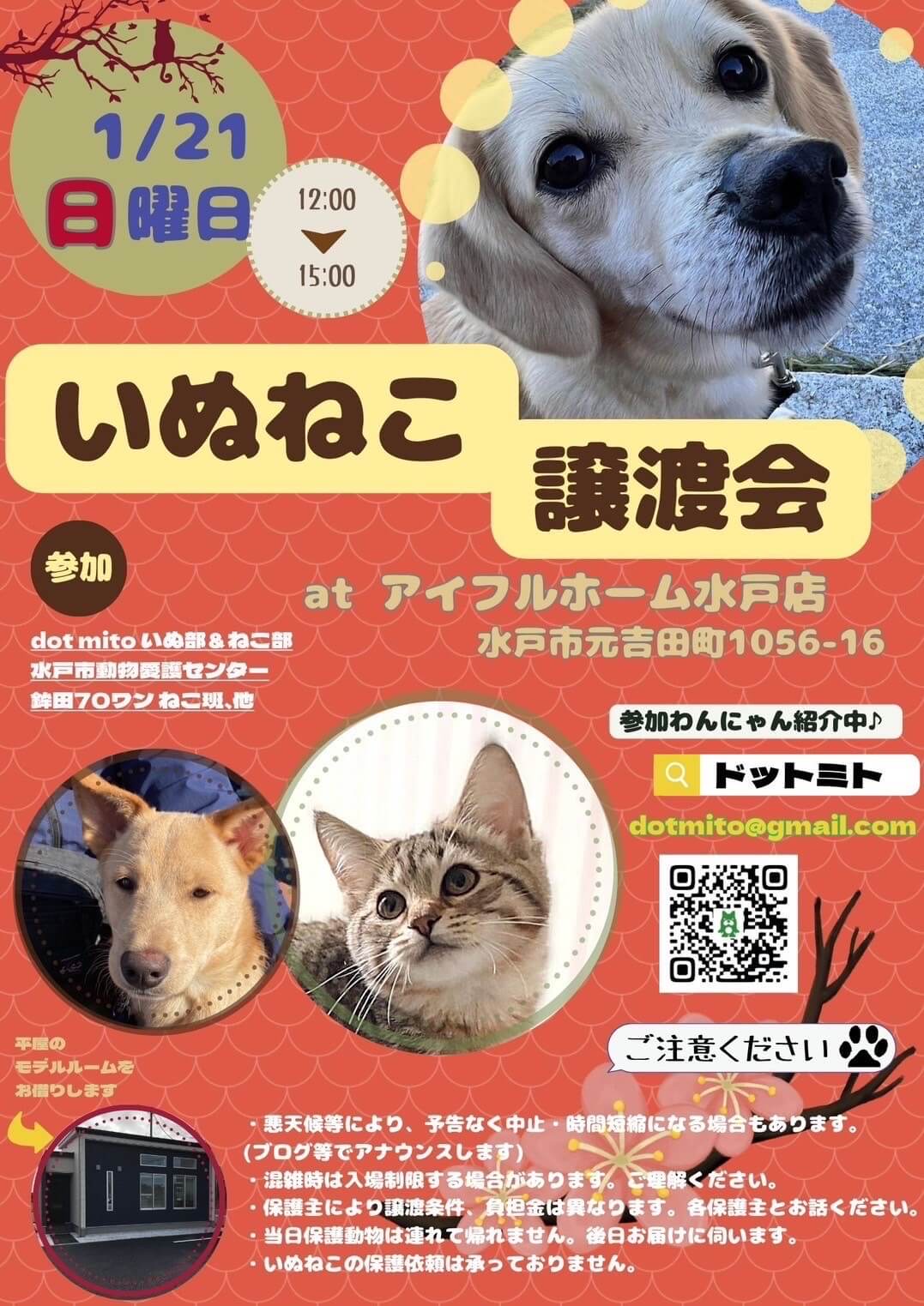 いぬねこ譲渡会　at アイフルホーム水戸店さん