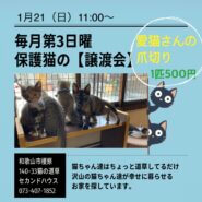 保護猫の譲渡会＆愛猫さんの爪切り