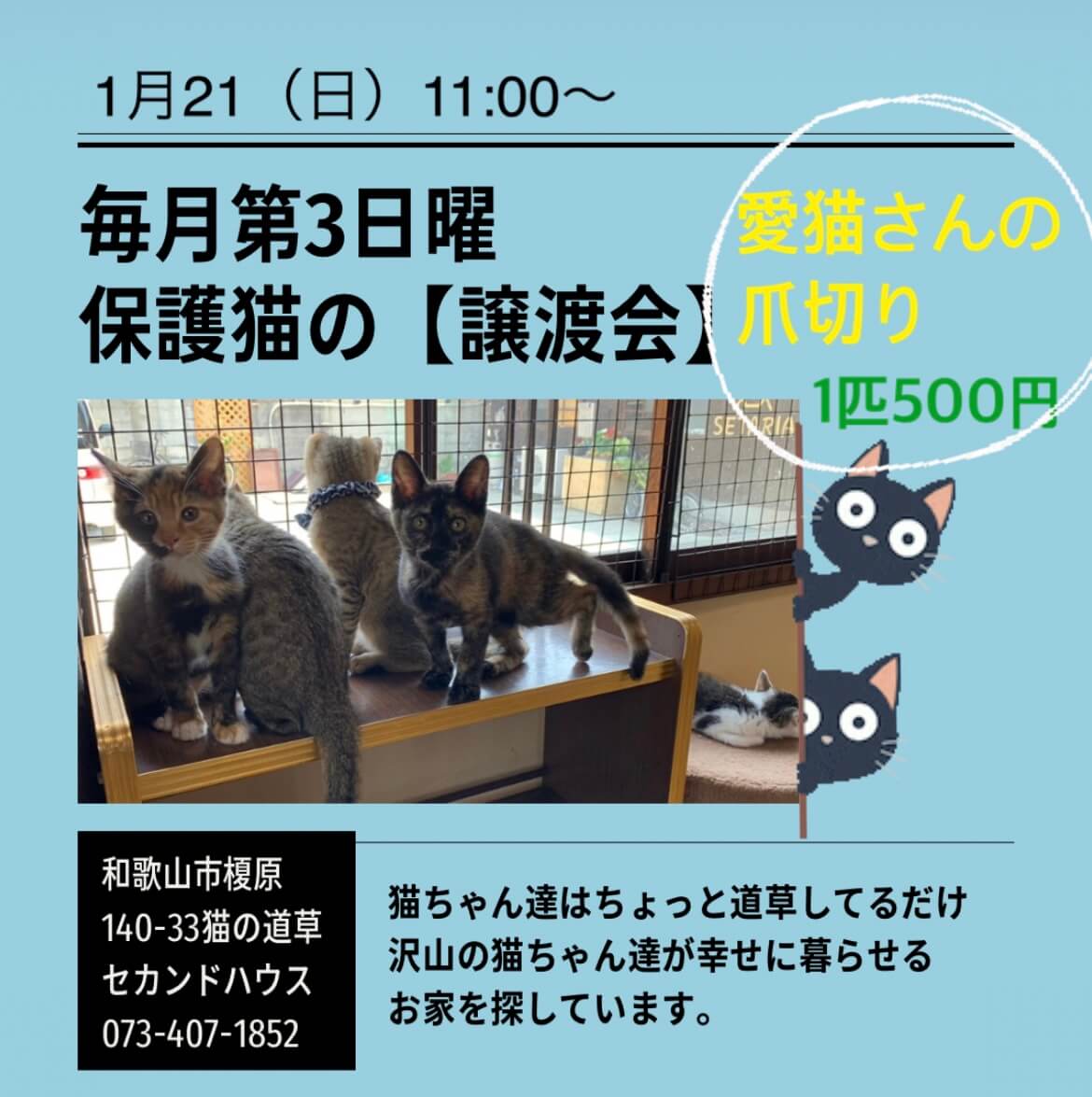 保護猫の譲渡会＆愛猫さんの爪切り