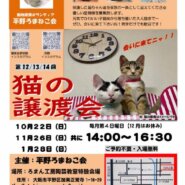 第14回平野ろまねこ譲渡会