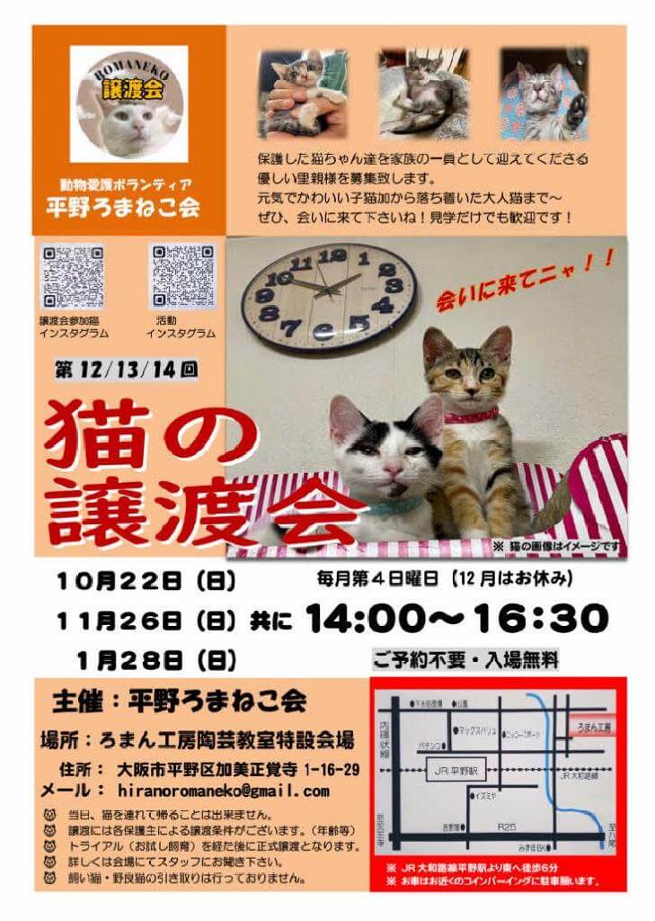 第14回平野ろまねこ譲渡会