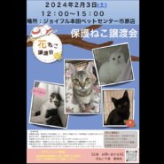 花ねこ譲渡会