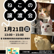 むさしの地域猫の会　譲渡会