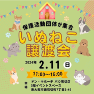 犬と猫の譲渡会