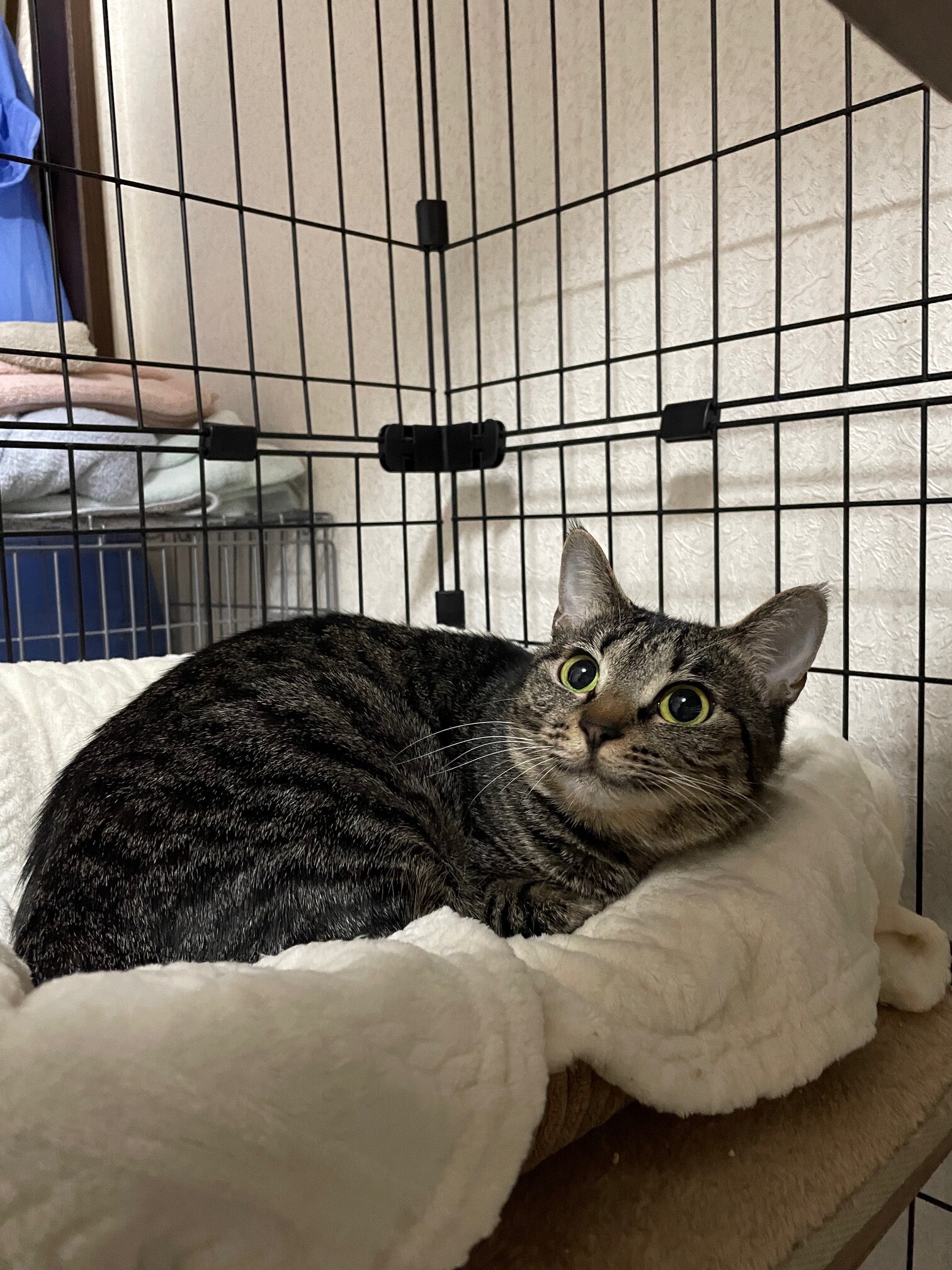 小柄で可愛い女の子