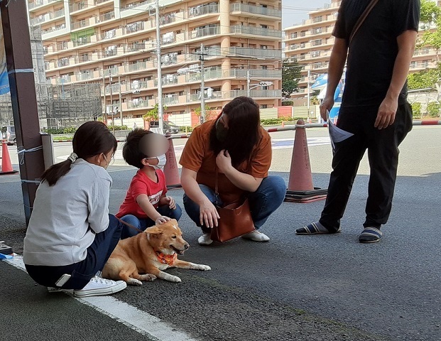保護犬の搬送ボランティアさん募集