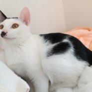 好奇心旺盛なぼーし君（2023年5月16日生まれ）