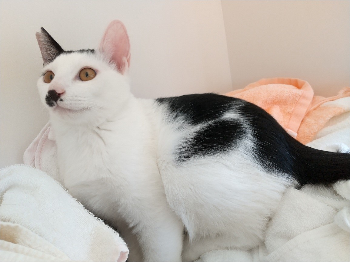 好奇心旺盛なぼーし君（2023年5月16日生まれ）