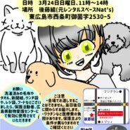 犬猫譲渡会