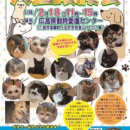 犬猫譲渡会