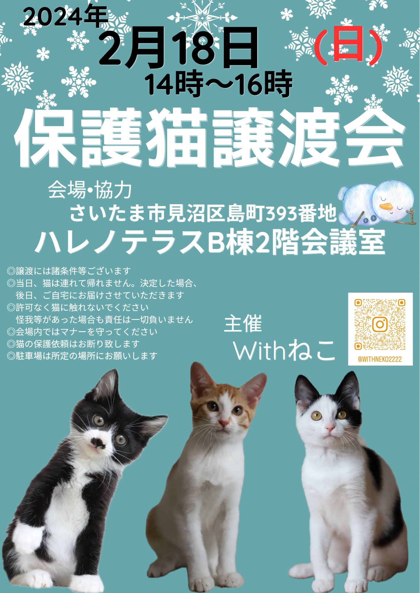 【さいたま市】2/18（日）ハレノテラス保護猫譲渡会